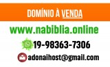 nabiblia.online logo