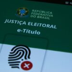 Aéreas podem se negar a embarcar animais de suporte emocional, diz STJ